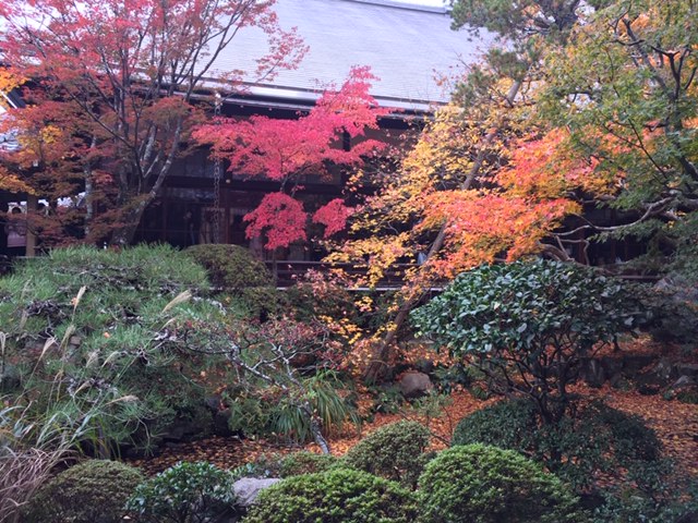 紅葉有終の美を飾る①