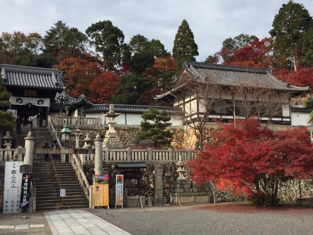 紅葉有終の美を飾る①