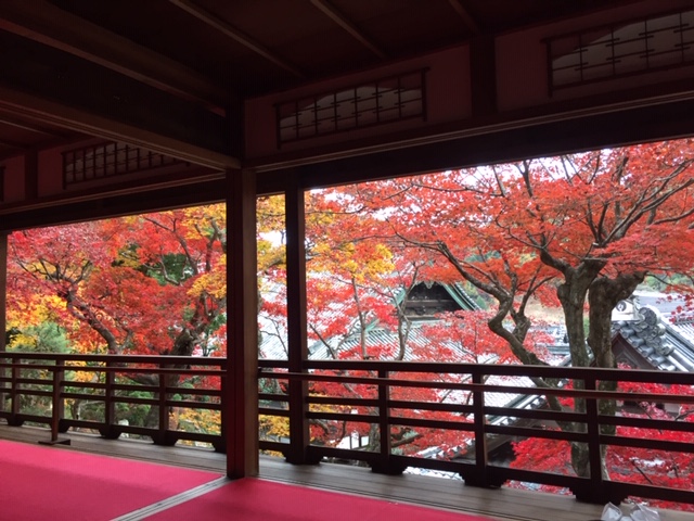 紅葉有終の美を飾る②