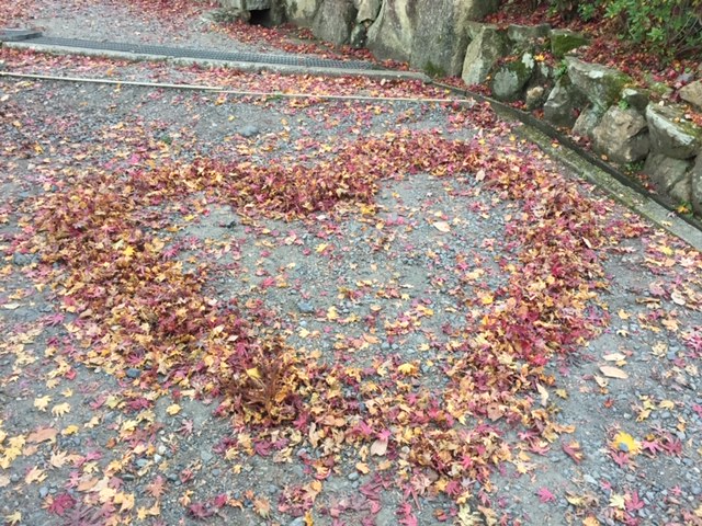 紅葉有終の美を飾る②