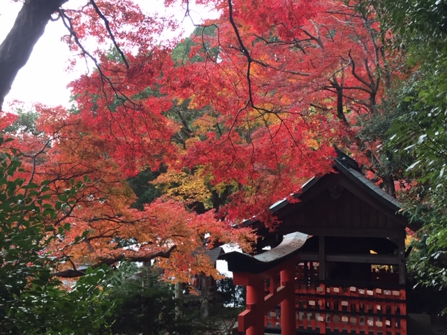 紅葉有終の美を飾る②