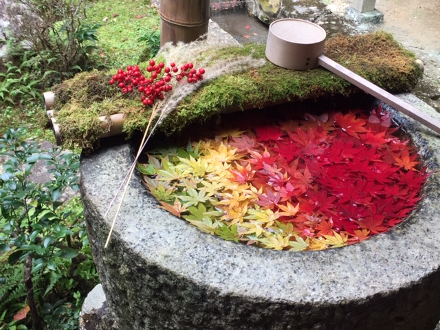 紅葉有終の美を飾る③