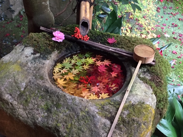 紅葉有終の美を飾る③