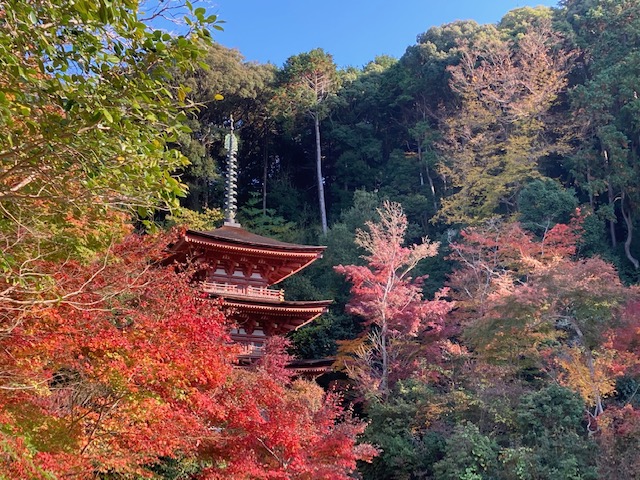 浄瑠璃寺①