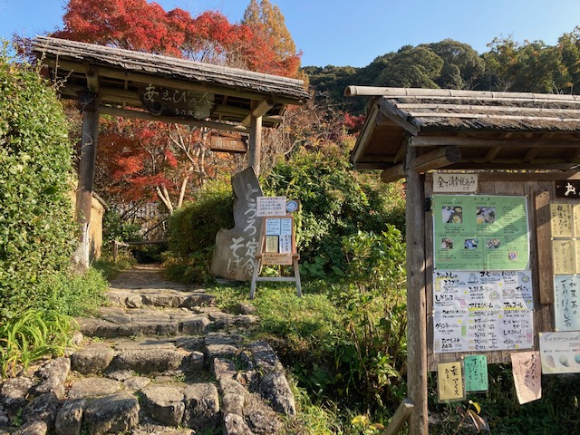 浄瑠璃寺②