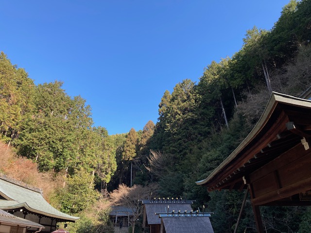 遅ればせながら②