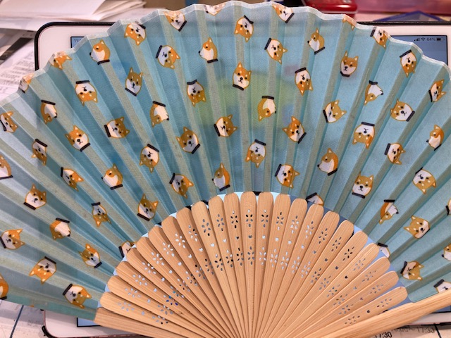 夏季休暇3日目です