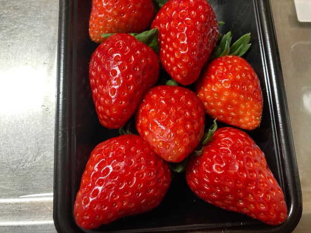 久しぶりの