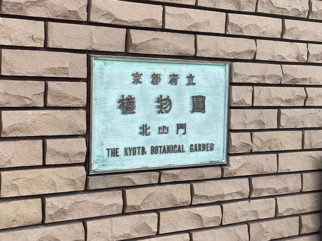 お急ぎを②