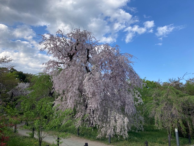 お急ぎを②