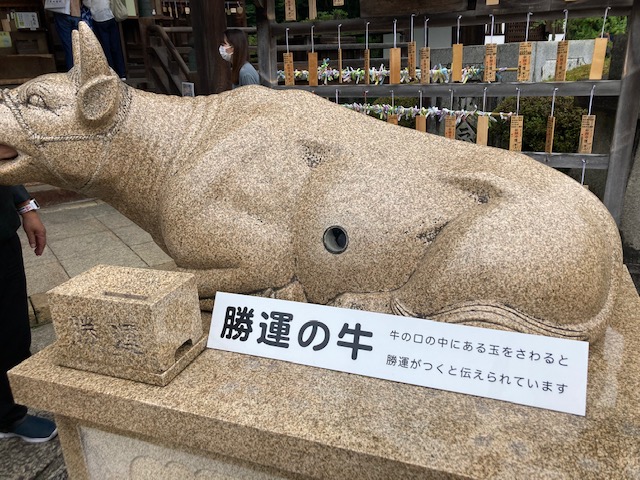 三室戸寺
