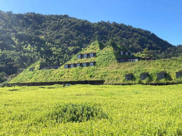 息子の練習で③