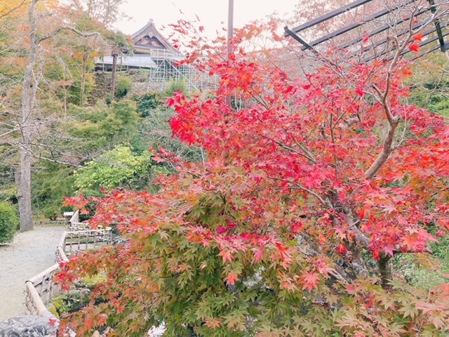 奈良の紅葉スポットに