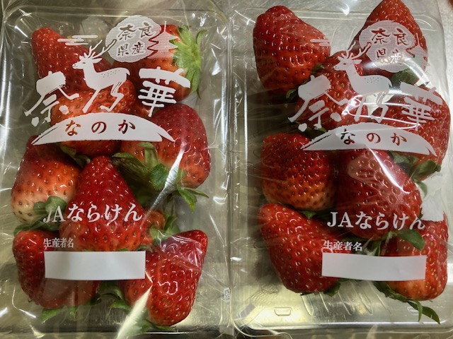 新品種