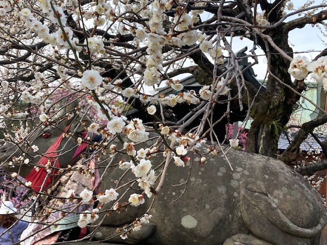 梅の名所