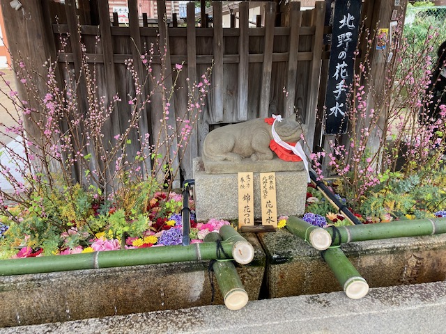梅の名所