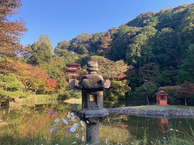 浄瑠璃寺に