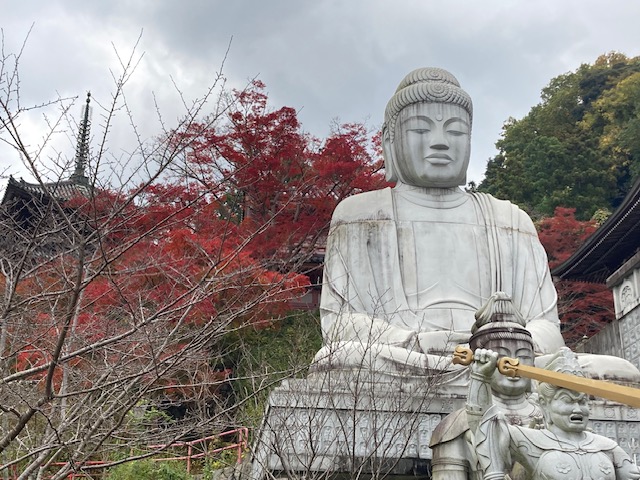 今年最後の紅葉は