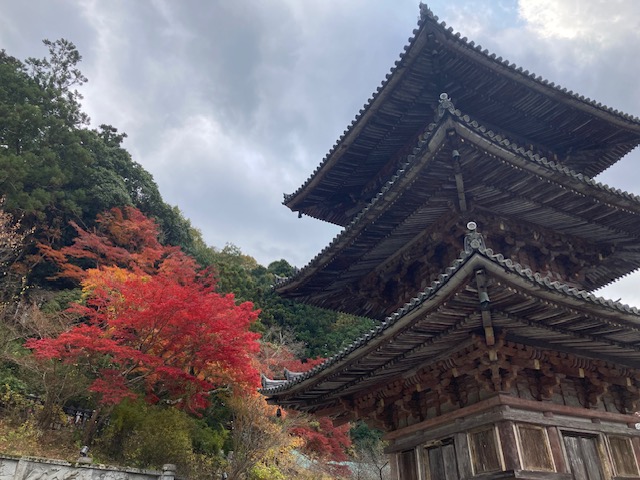 今年最後の紅葉は