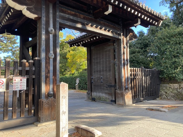 恒例の紅葉狩り　今年は？