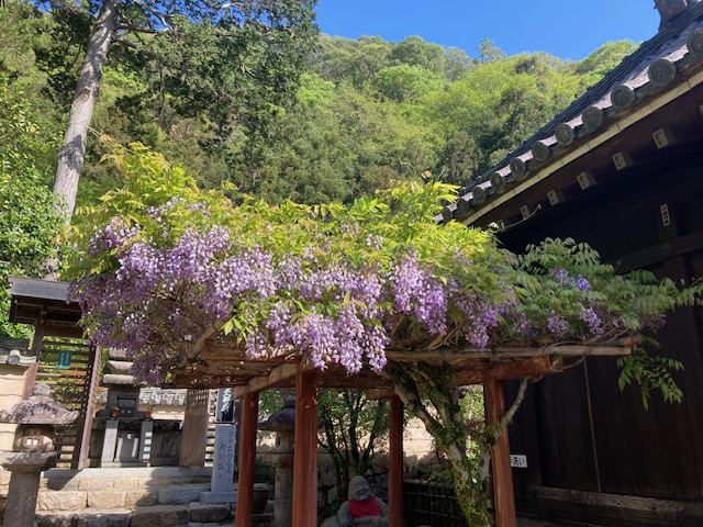 西国三十三所巡礼　番外札所　法起院