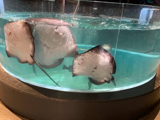 夏季休暇最終編