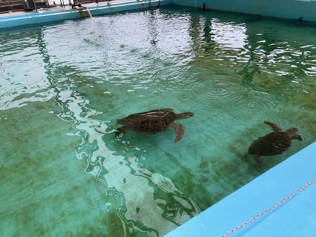 夏季休暇最終編