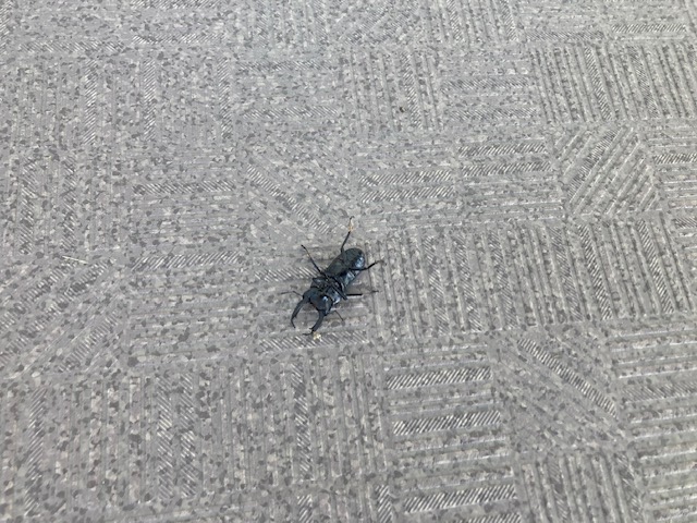 まだまだ暑い