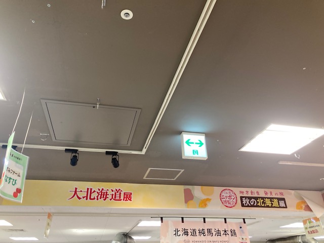 北海道に行ってきました