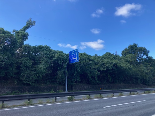 久しぶりの天気